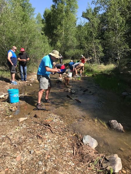 Gold Panning at Lynx Lake